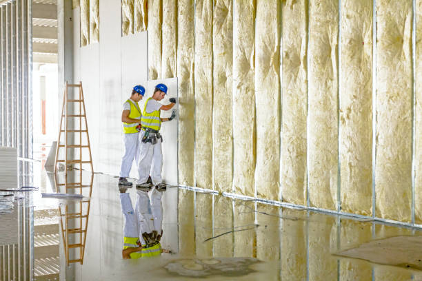Types of Insulation We Offer in Clovis, CA